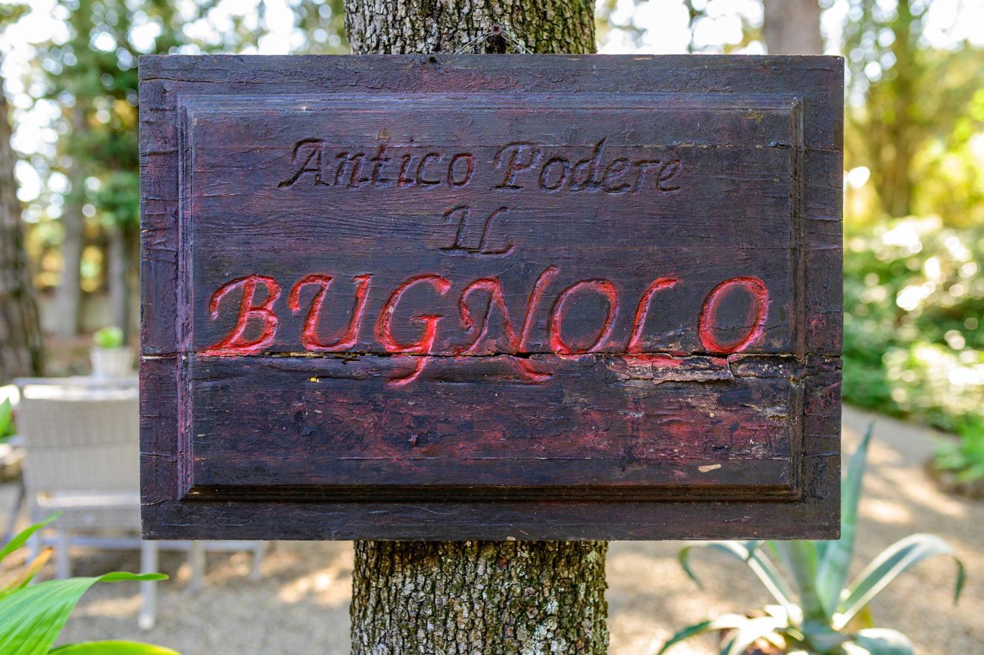 Antico Podere Il Bugnolo ポッジボンシ エクステリア 写真
